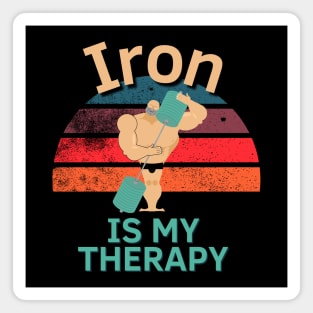 Iron Therpay Magnet